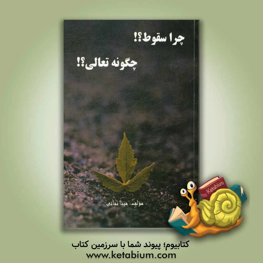 کتاب چرا سقوط؟! چگونه تعالی؟! اثر مینا نجاتی