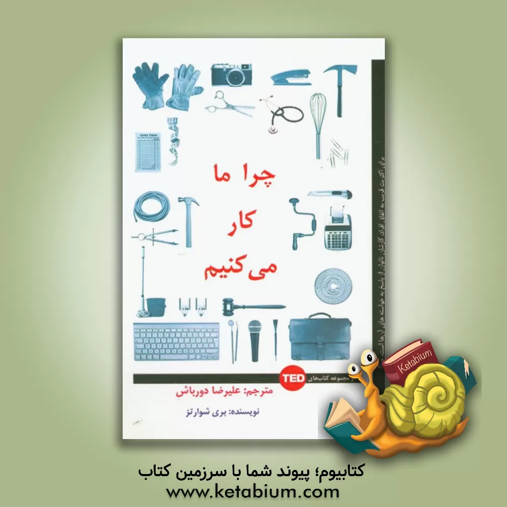 کتاب چرا ما کار می کنیم: برای اکثر قریب به اتفاق افراد، کارشان ناتوان از پاسخ به خواسته های آن ها است، چرا؟ اثر بری شوارتس