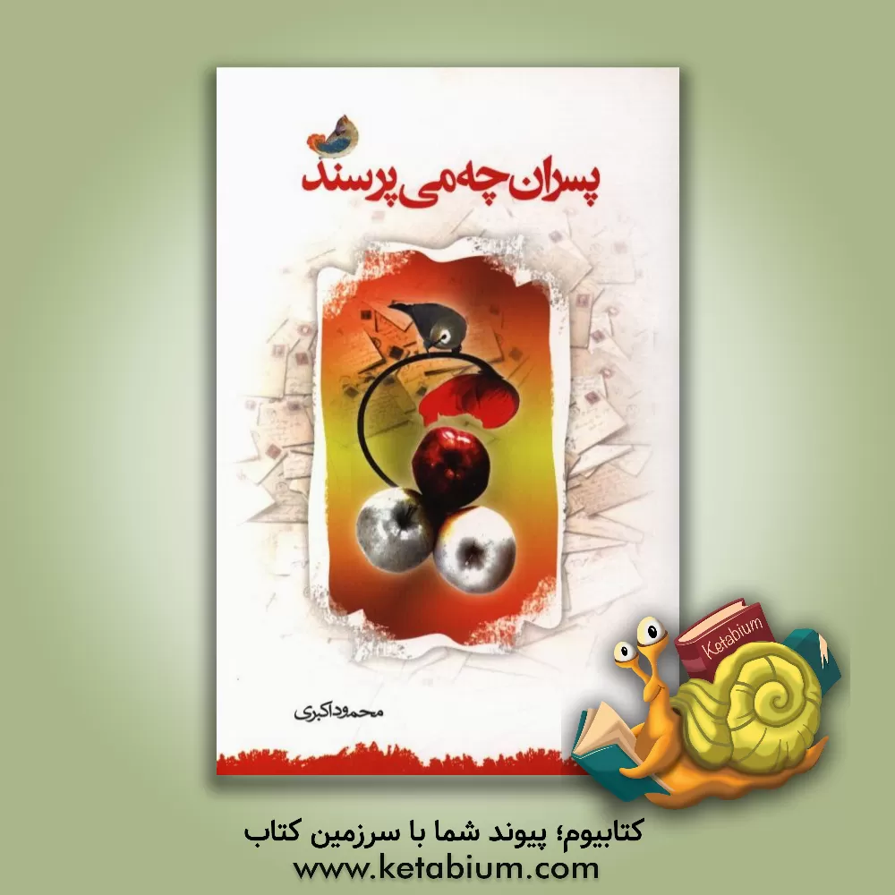 کتاب پسران چه می پرسند؟ اثر محمود اکبری