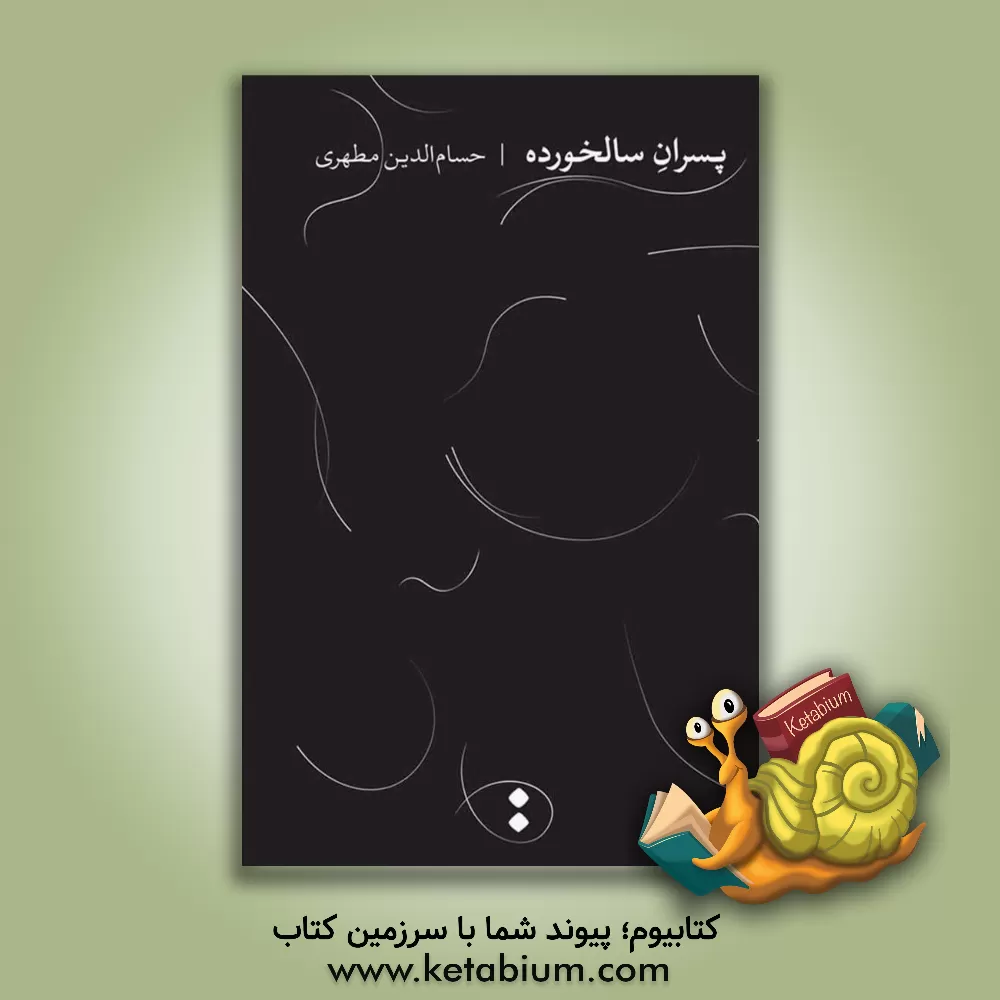 کتاب پسران سالخورده اثر حسام‌الدین مطهری