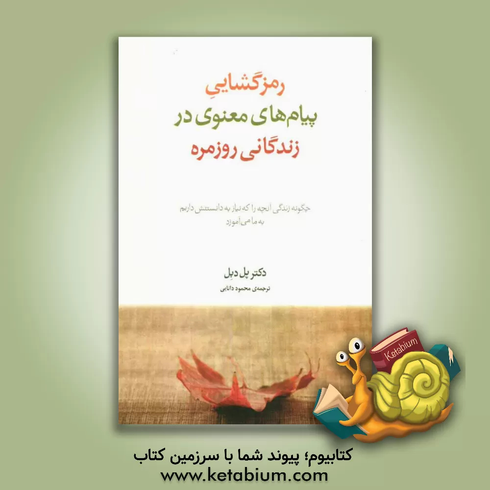 کتاب رمزگشایی پیامهای معنوی در زندگانی روزمره: چگونه زندگی آنچه را که نیاز به دانستنش داریم به ما می آموزد اثر پل دبل