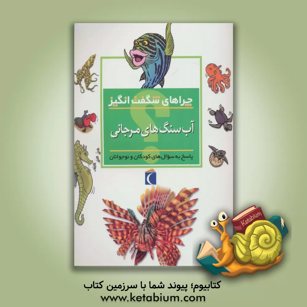 کتاب چراهای شگفت انگیز: آب سنگ های مرجانی: پاسخ به سوال های کودکان و نوجوانان اثر کامیلا دولابدویر