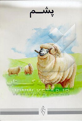 کتاب پشم اثر مجتبی الهی‌خراسانی