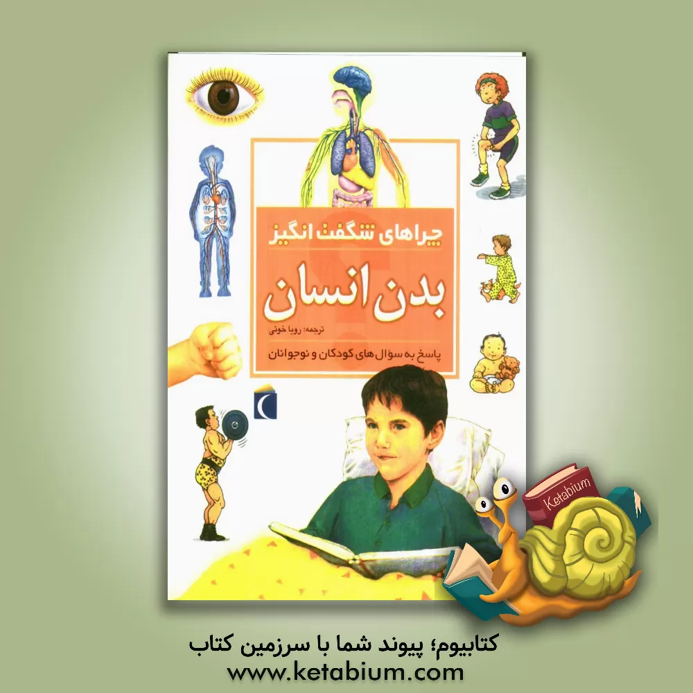 کتاب چراهای شگفت انگیز: بدن انسان: پاسخ به سوال های کودکان و نوجوانان اثر بریژیت آویسون