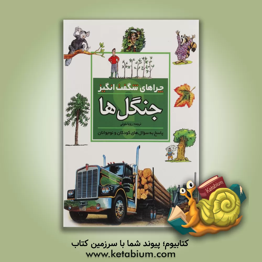 کتاب چراهای شگفت انگیز: جنگل ها: پاسخ به سوالهای کودکان و نوجوانان اثر جکی گف