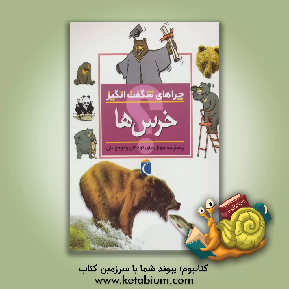 کتاب چراهای شگفت انگیز: خرس ها: پاسخ به سوال های کودکان و نوجوانان اثر باربارا تیلور