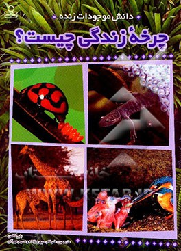 کتاب چرخه زندگی چیست؟ اثر بابی کالمن