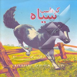 کتاب کره اسب سیاه اثر حسین نقشینه