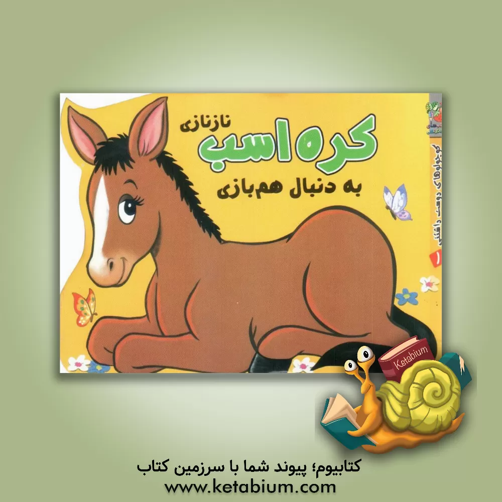 کتاب کره اسب نازنازی به دنبال همبازی اثر مهدی مردانی