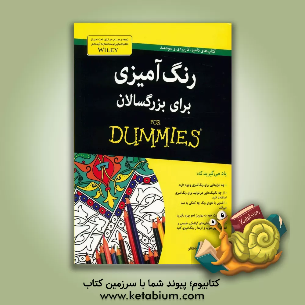 کتاب رنگ آمیزی برای بزرگسالان for dummies اثر رضا باباخانلو