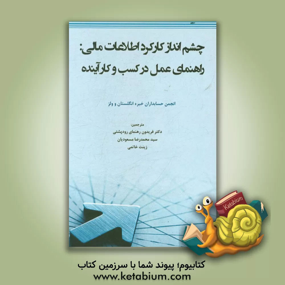 کتاب چشم انداز کارکرد اطلاعات مالی: راهنمای عمل در کسب و کار آینده اثر فریدون رهنمای‌رودپشتی