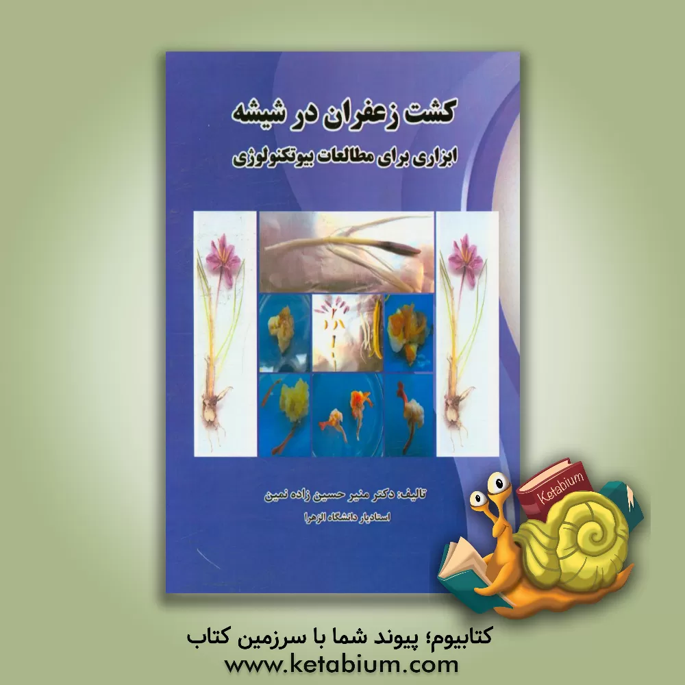 کتاب کشت زعفران در شیشه ابزاری برای مطالعات بیوتکنولوژی اثر منیر حسین‌زاده‌نمین