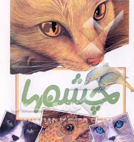 کتاب چشمها اثر جودیت ورثی