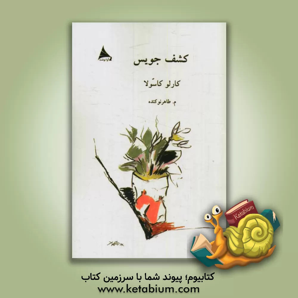 کتاب کشف جویس اثر کارلو کاسولا