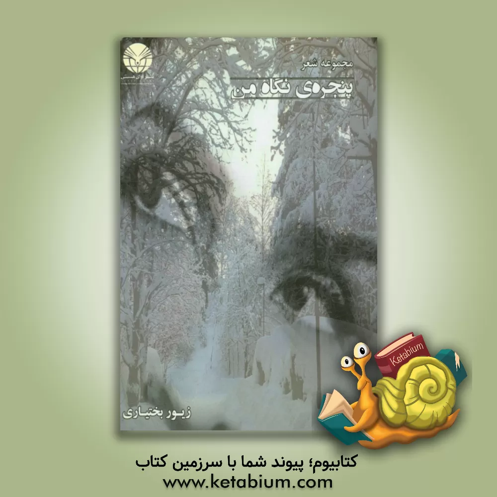 کتاب پنجره ی نگاه من اثر زیور بختیاری