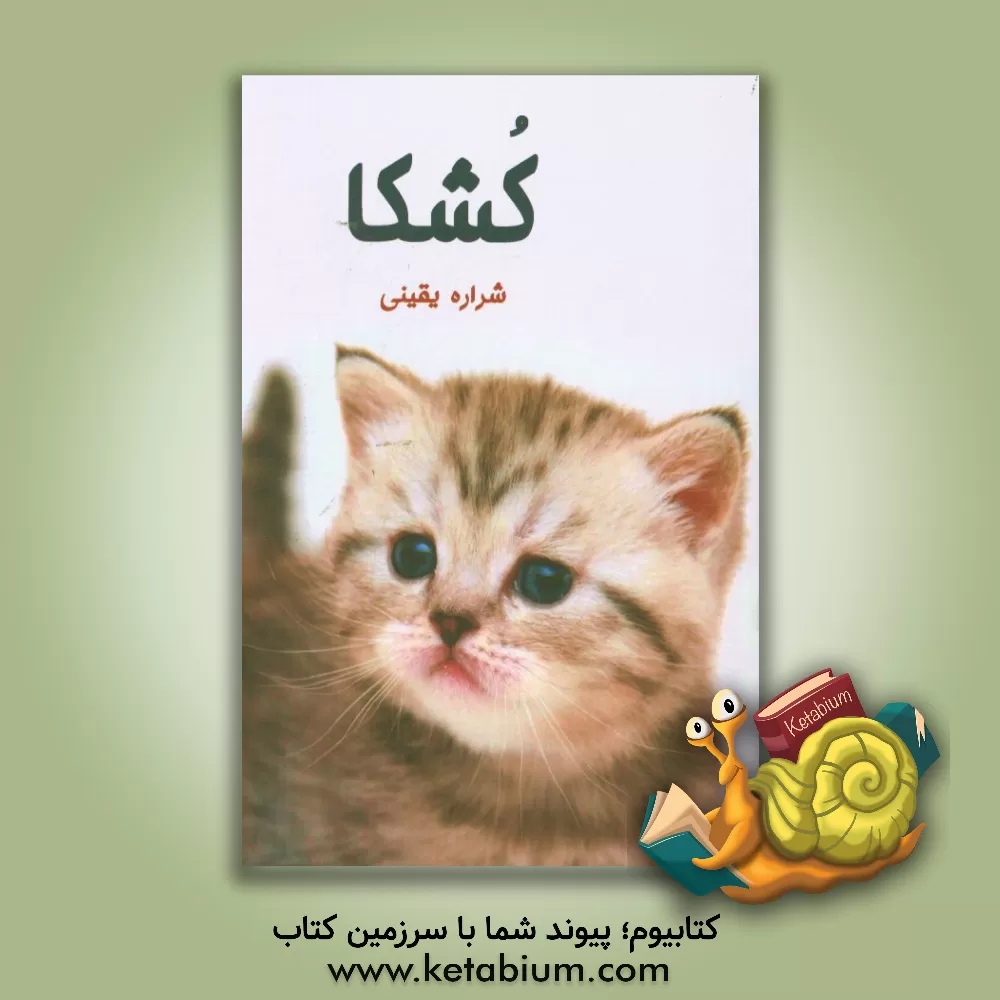 کتاب کشکا اثر شراره یقینی