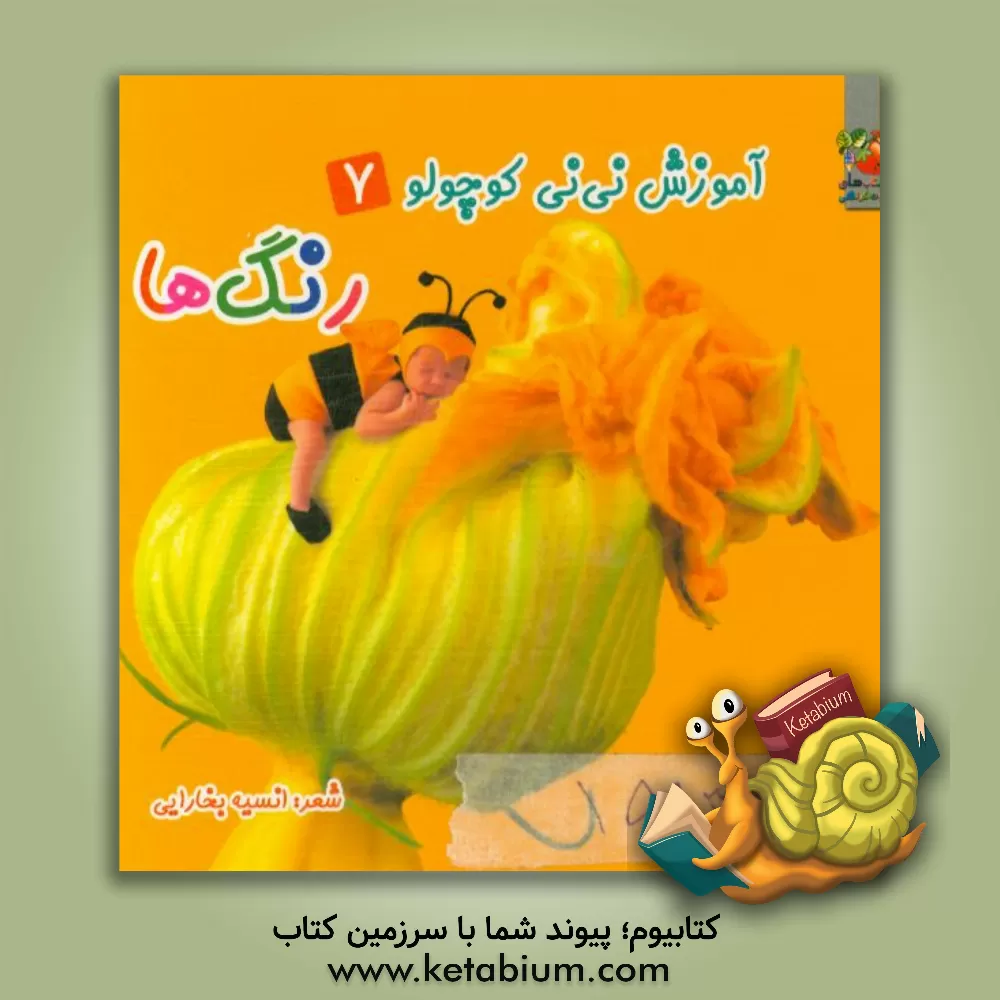 کتاب رنگ ها اثر انسیه بخارایی