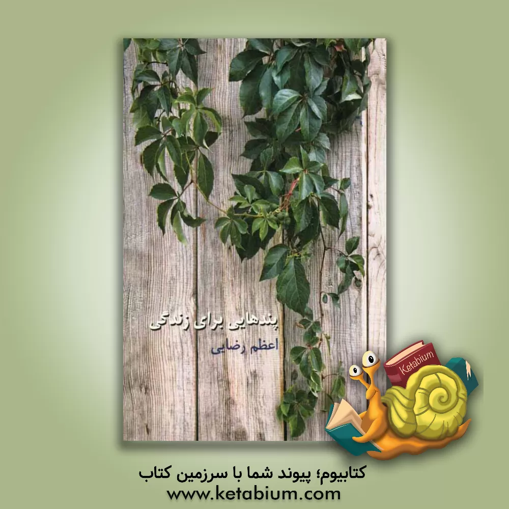 کتاب پندهایی برای زندگی اثر اعظم رضایی