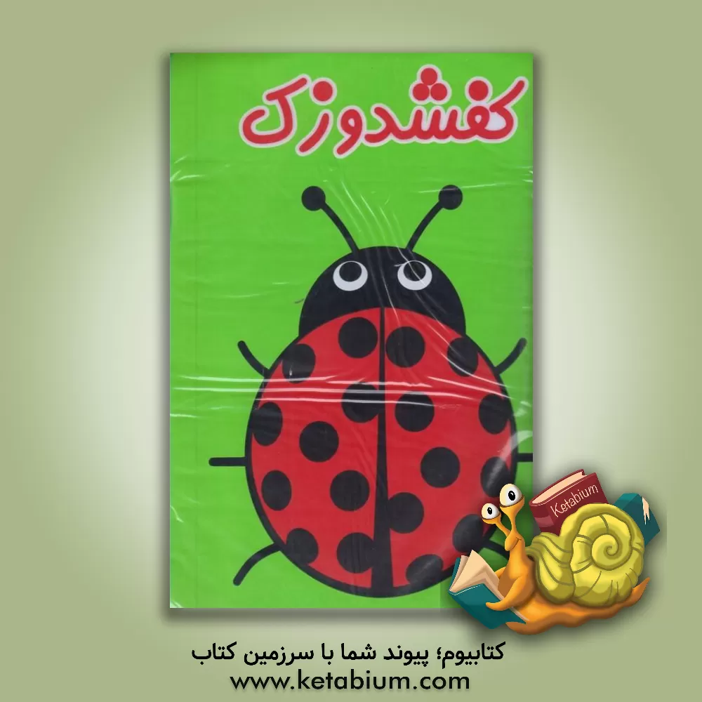 کتاب کفشدوزک اثر حمیدرضا سعیدی‌زاده