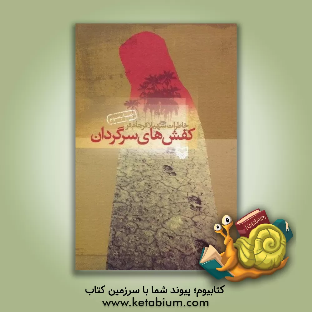 کتاب کفشهای سرگردان اثر سهیلا فرجام‌فر