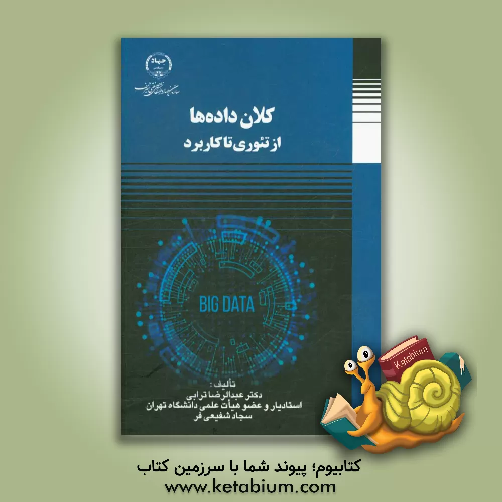 کتاب کلان داده ها: از تئوری تا کاربرد اثر سیدعبدالرضا ترابی