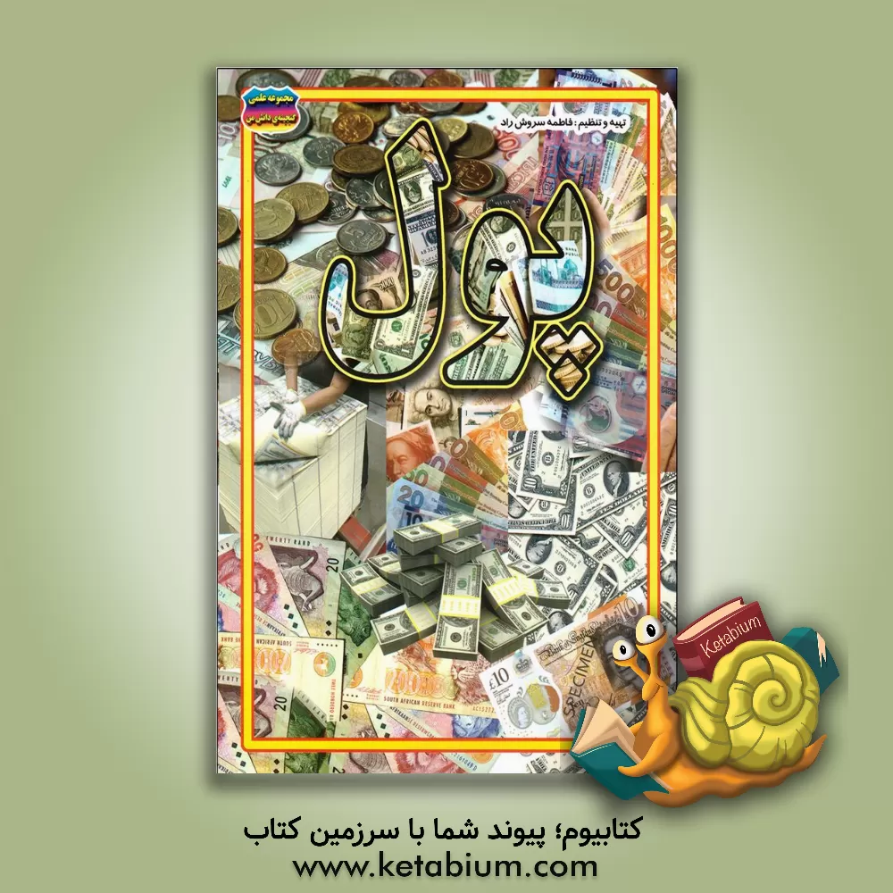 کتاب پول اثر فاطمه سروش‌راد