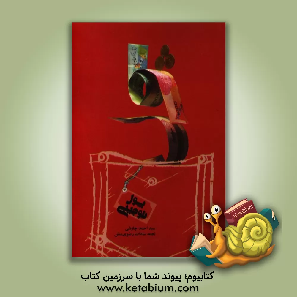 کتاب پول توجیبی: آموزش مهارت های روزمره ی زندگی به فرزندان اثر احمد چاوشی