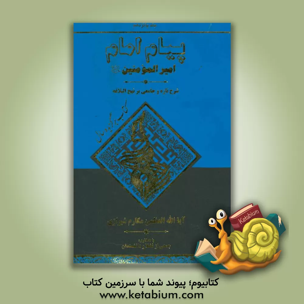 کتاب پیام امام امیرالمومنین (ع): شرحی تازه و جامع بر نهج البلاغه: (گفتار حکیمانه) اثر محمدرضا آشتیانی