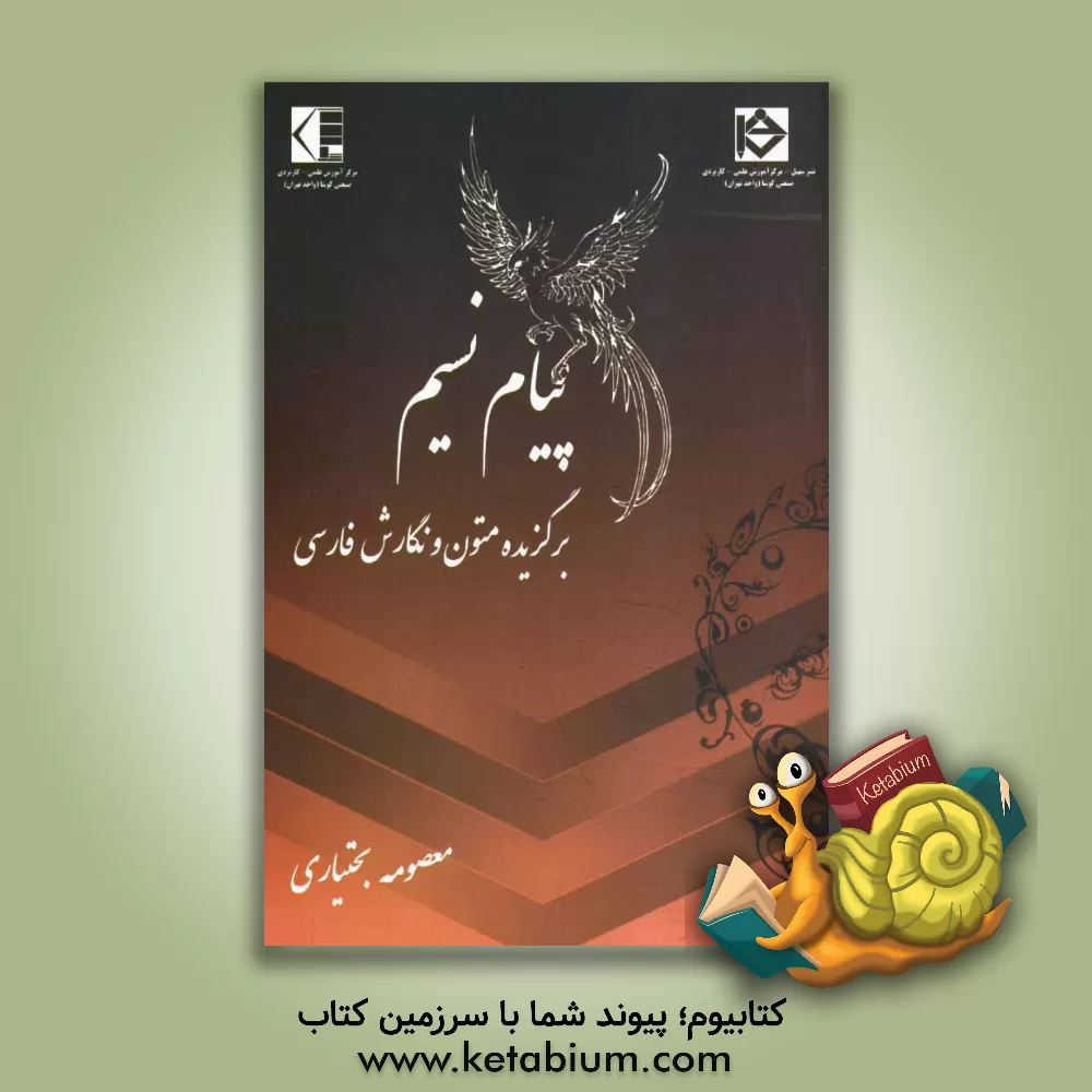 کتاب پیام نسیم: برگزیده متون و نگارش فارسی اثر معصومه بختیاری