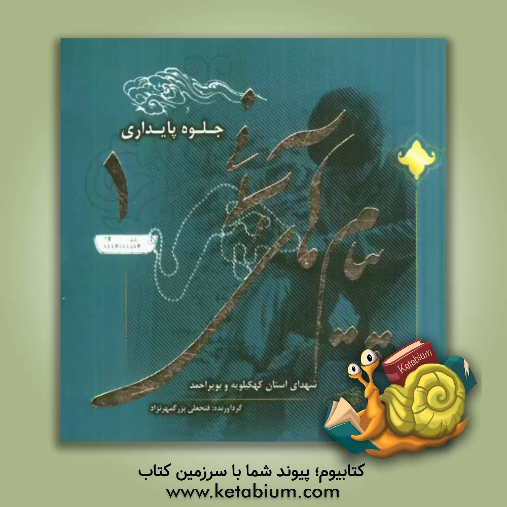 کتاب پیام های آسمانی شهدای استان کهگیلویه و بویراحمد: جلوه پایداری اثر فتحعلی بزرگمهرنژاد