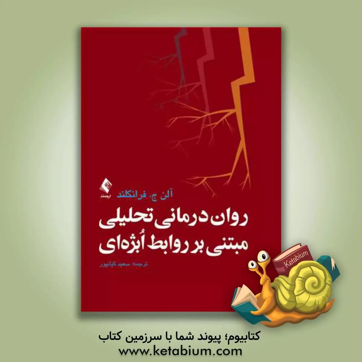 کتاب روان‌ درمانی تحلیلی مبتنی بر روابط اُبژه‌ای اثر آلن ج. فرانکلند