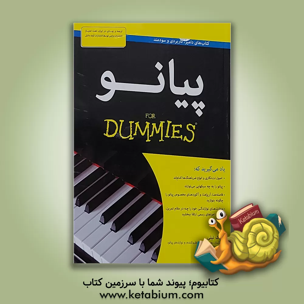 کتاب پیانو for dummies |اثر بلبک نیلی