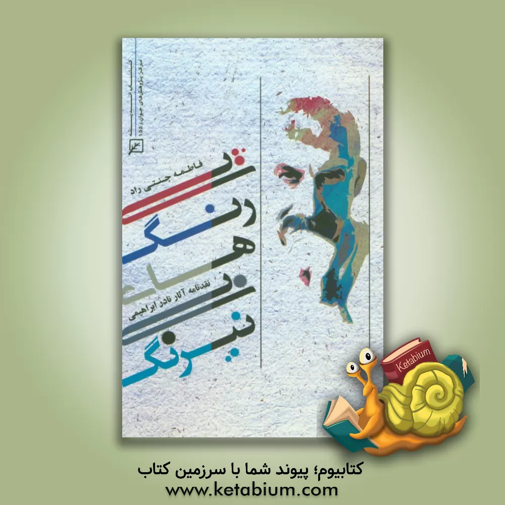 کتاب پیرنگ های بی نیرنگ: نقدنامه آثار نادر ابراهیمی اثر فاطمه جنتی‌راد