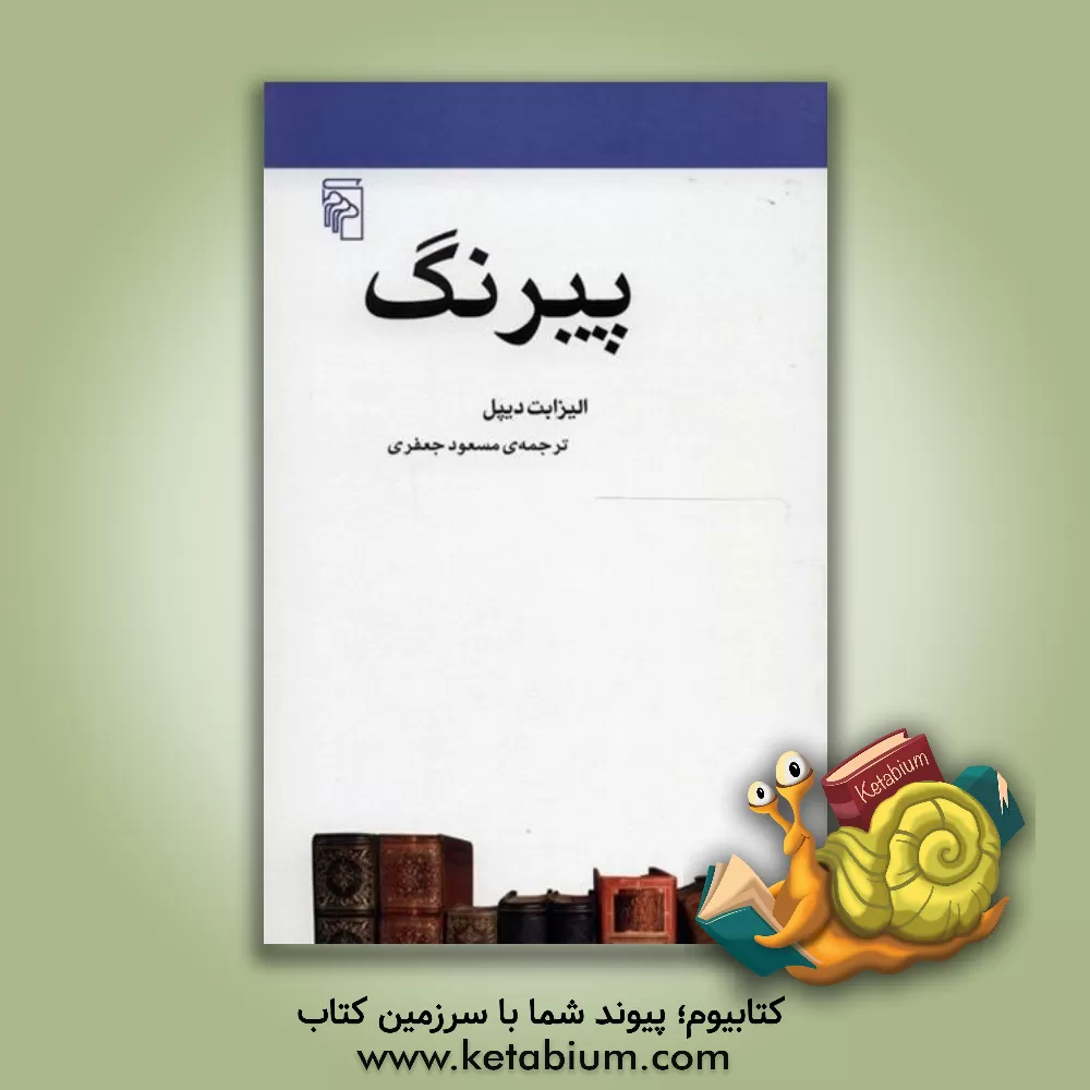 کتاب پیرنگ: از مجموعه ی مکتب ها، سبک ها و اصطلاح های ادبی و هنری اثر الیزابت دیپل