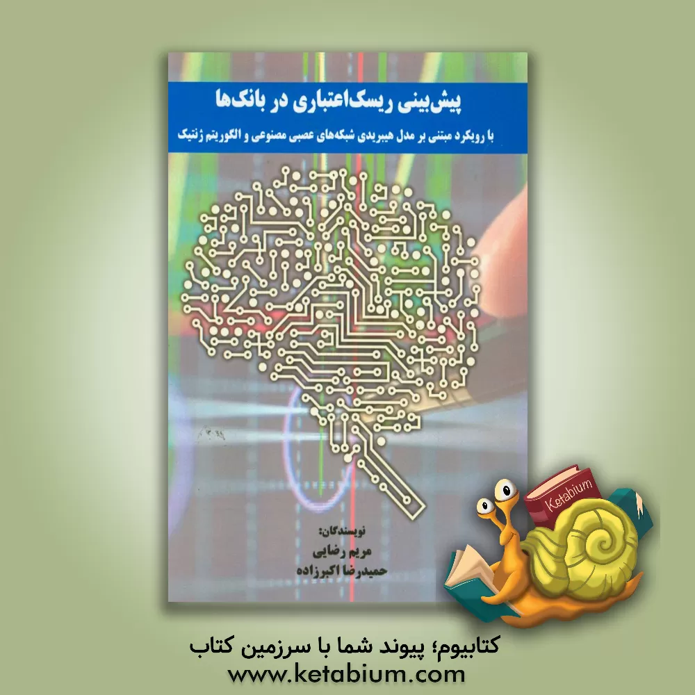 کتاب پیش بینی ریسک اعتباری در بانک ها با رویکرد مبتنی بر مدل هیبریدی شبکه های عصبی مصنوعی و الگوریتم ژنتیک اثر مریم رضایی
