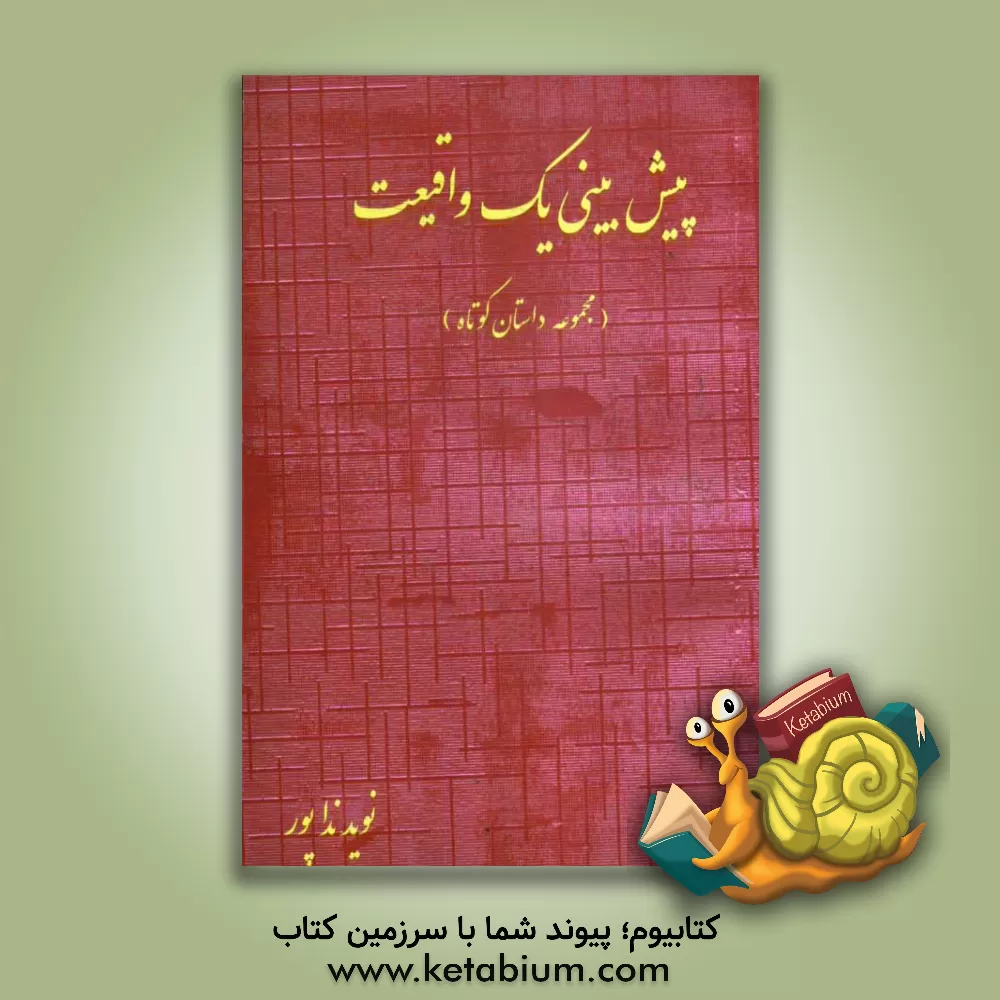 کتاب پیش بینی یک واقعیت (مجموعه 4 داستان) اثر نوید نداپور