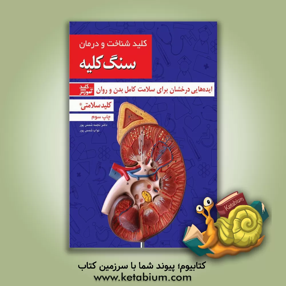 کتاب کلید شناخت و درمان سنگ کلیه اثر نجمه شمس‌پور