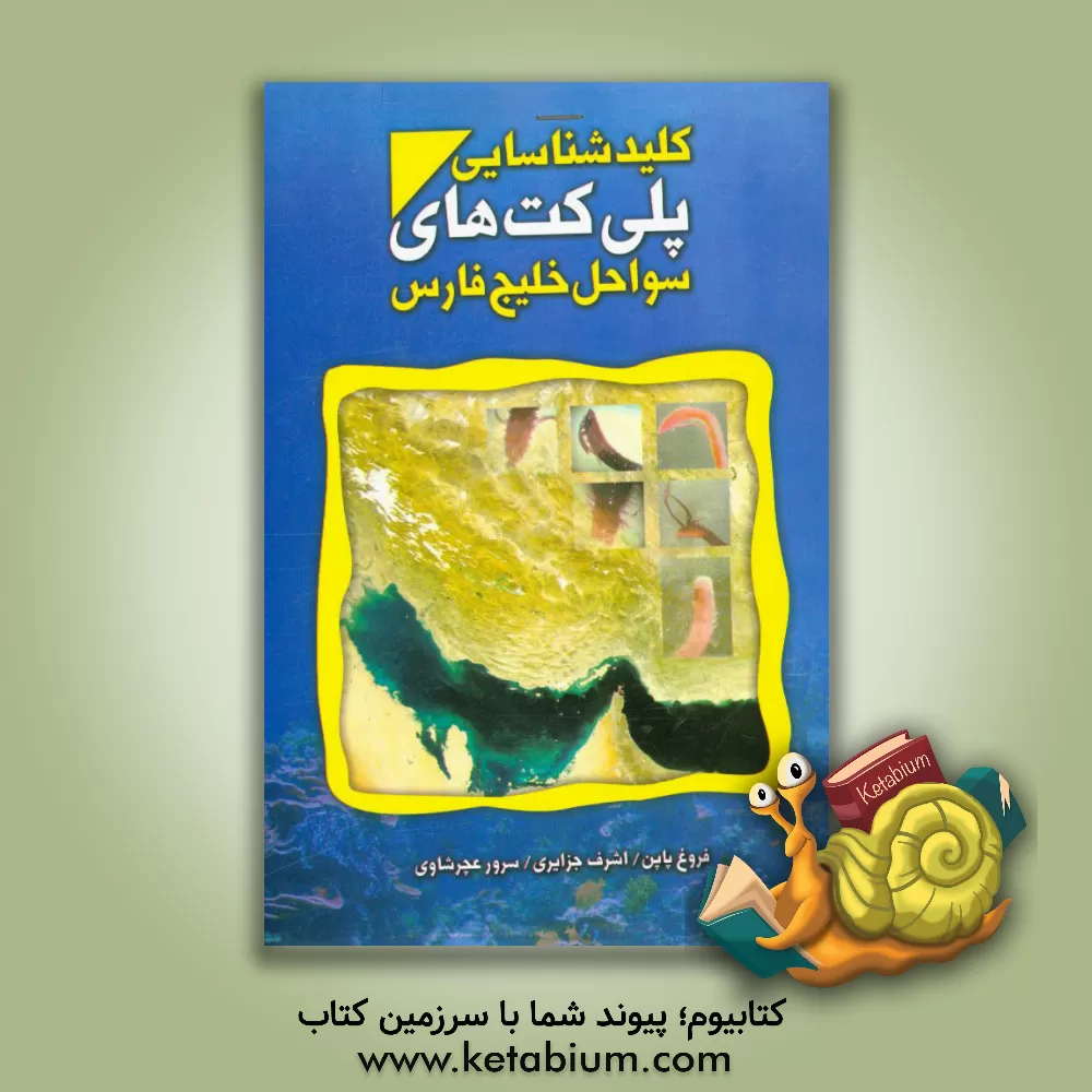 کتاب کلید شناسایی پلی کت های سواحل خلیج فارس اثر اشرف جزایری