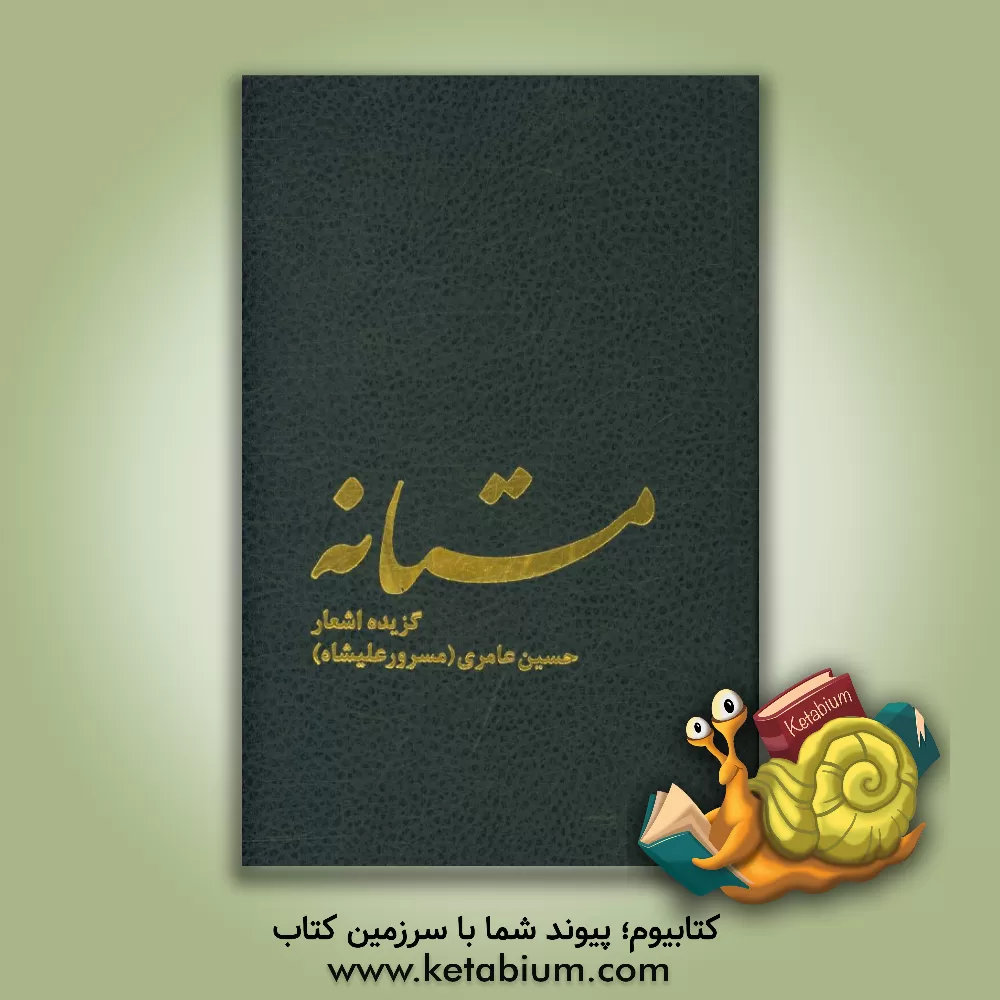کتاب مستانه اثر حسین عامری