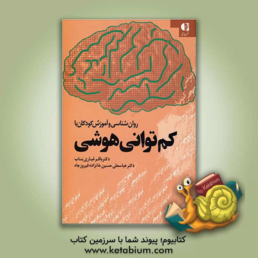 کتاب روانشناسی و آموزش کودکان با کم توانی هوشی اثر باقر غباری‌بناب