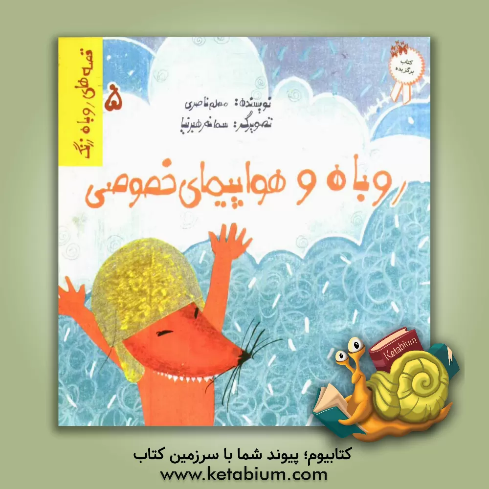 کتاب روباه و هواپیمای خصوصی اثر مسلم ناصری