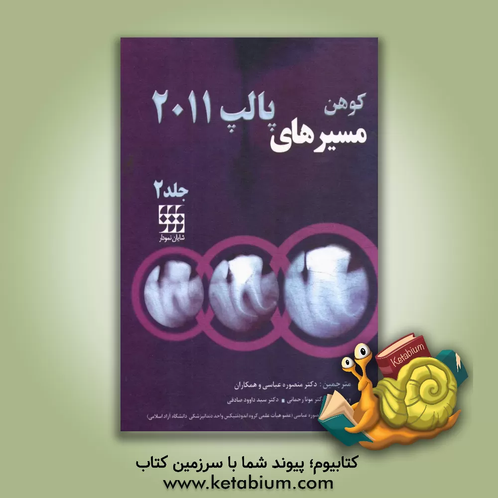 کتاب مسیرهای پالپ 2011 اثر فاطمه عابدی