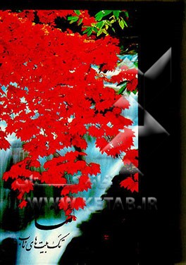 کتاب مشاعره: تک بیت های ناب اثر رضا معصومی