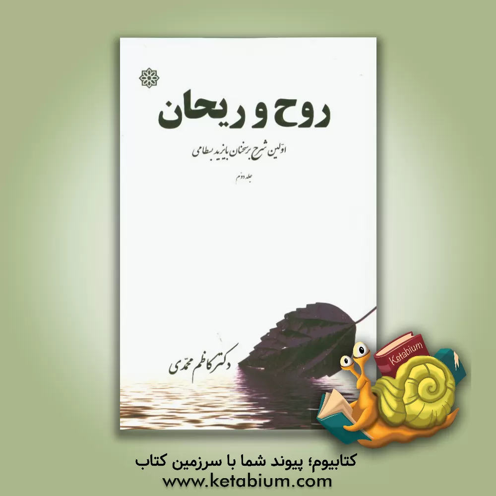 کتاب روح و ریحان: اولین شرح بر سخنان بایزید بسطامی اثر کاظم محمدی‌وایقانی