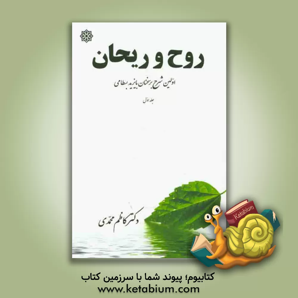 کتاب روح و ریحان: اولین شرح بر سخنان بایزید بسطامی اثر کاظم محمدی‌وایقانی