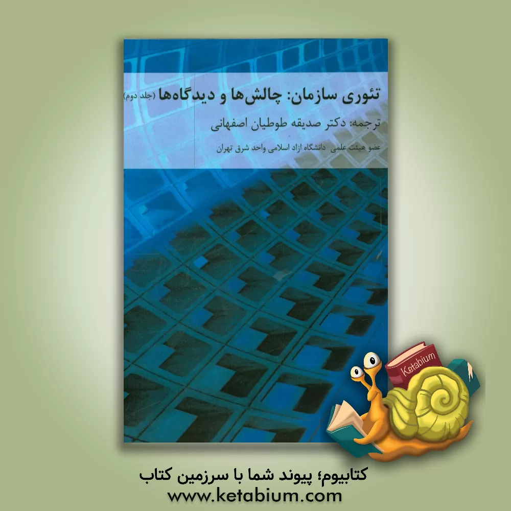کتاب تئوری سازمان: چالشها و دیدگاهها اثر جان مکولی