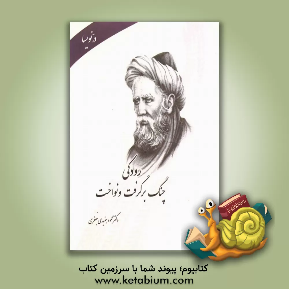 کتاب رودکی چنگ برگرفت و نواخت اثر محمود جنیدی‌جعفری