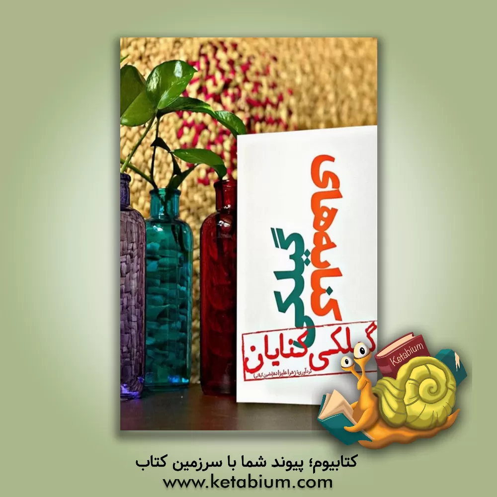 کتاب کنایه های گیلکی (گیلکی کنایان) اثر زهرا علیزاده