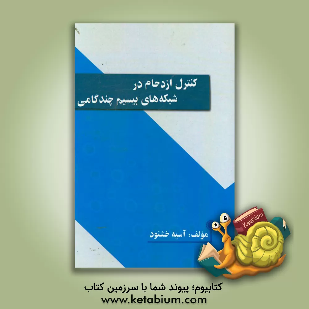کتاب کنترل ازدحام در شبکه های بیسیم چندگامی اثر آسیه خشنود