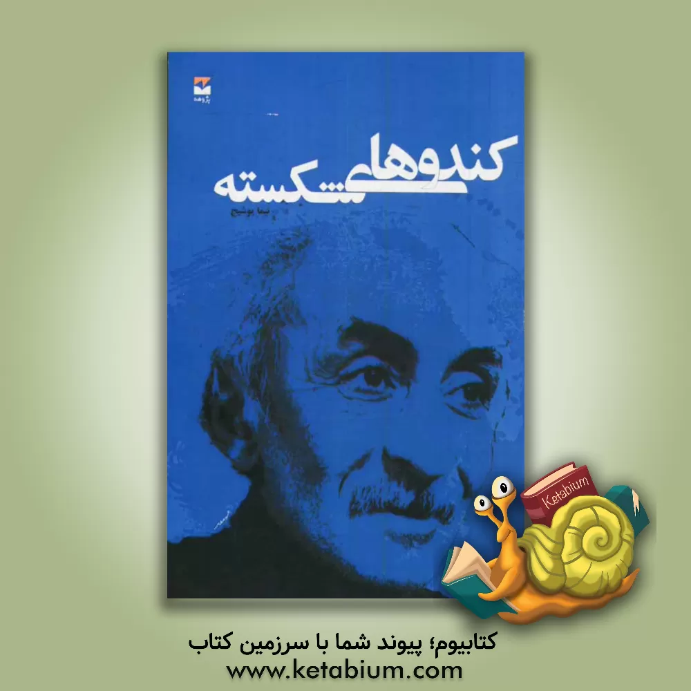 کتاب کندوهای شکسته اثر نیمایوشیج